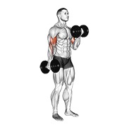 Alternate biceps curl
