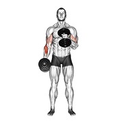 Cross-body hammer curl