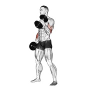 Hammer curl