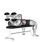 Skull crusher