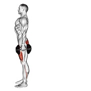 Reverse lunge