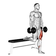 Bulgarian split squat