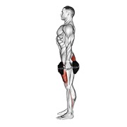 Squat