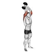 Overhead triceps extension
