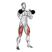 Front squat