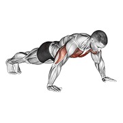 Wide hand push up