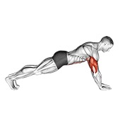 Push-up on lower arms