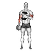 Cross body hammer curl v. 2