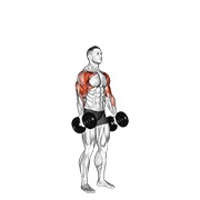 Standing alternate hammer curl and press