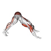Pike-to-cobra push-up